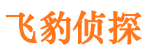 托克逊市侦探调查公司